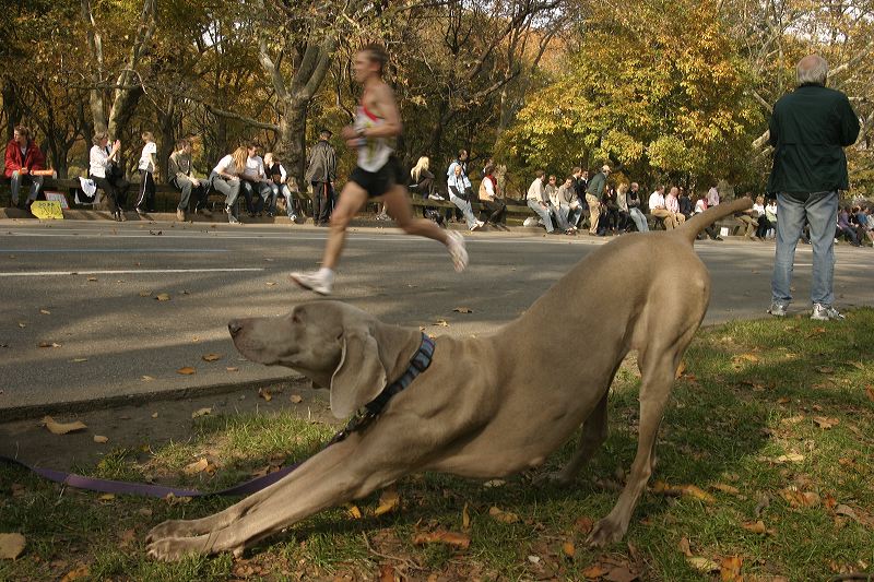 051105nymarathon070.jpg