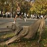 051105nymarathon070